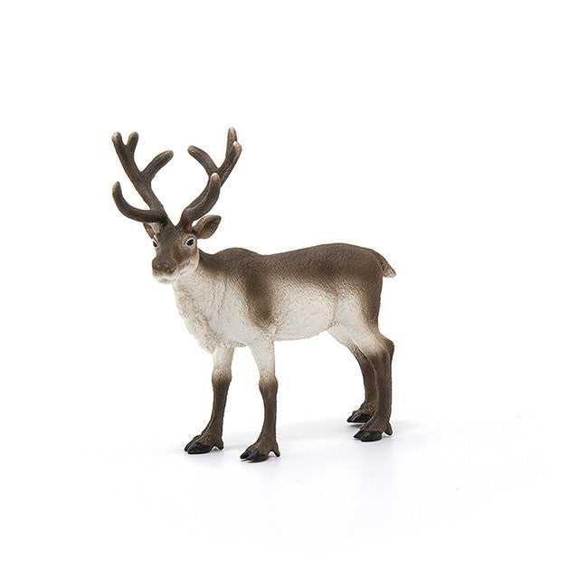 Schleich Wild Life - Reindeer 14837**shop wear**