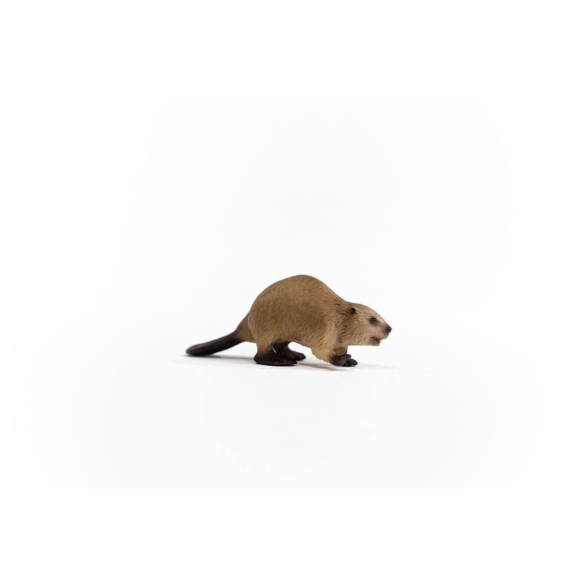 Schleich - Beaver | 14855