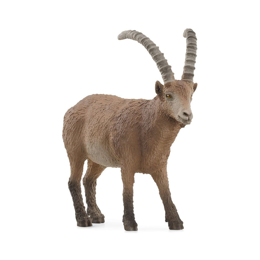Schleich - Ibex 14873