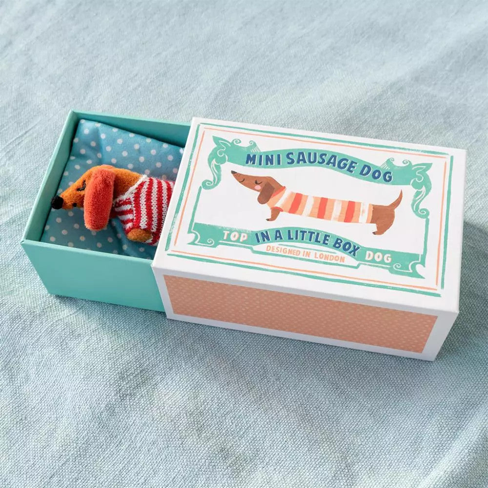 Rex London - Mini Sausage Dog in a Little Box