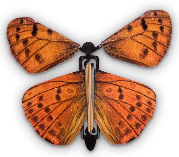Heebie Jeebies - Wind up Australian Butterflies