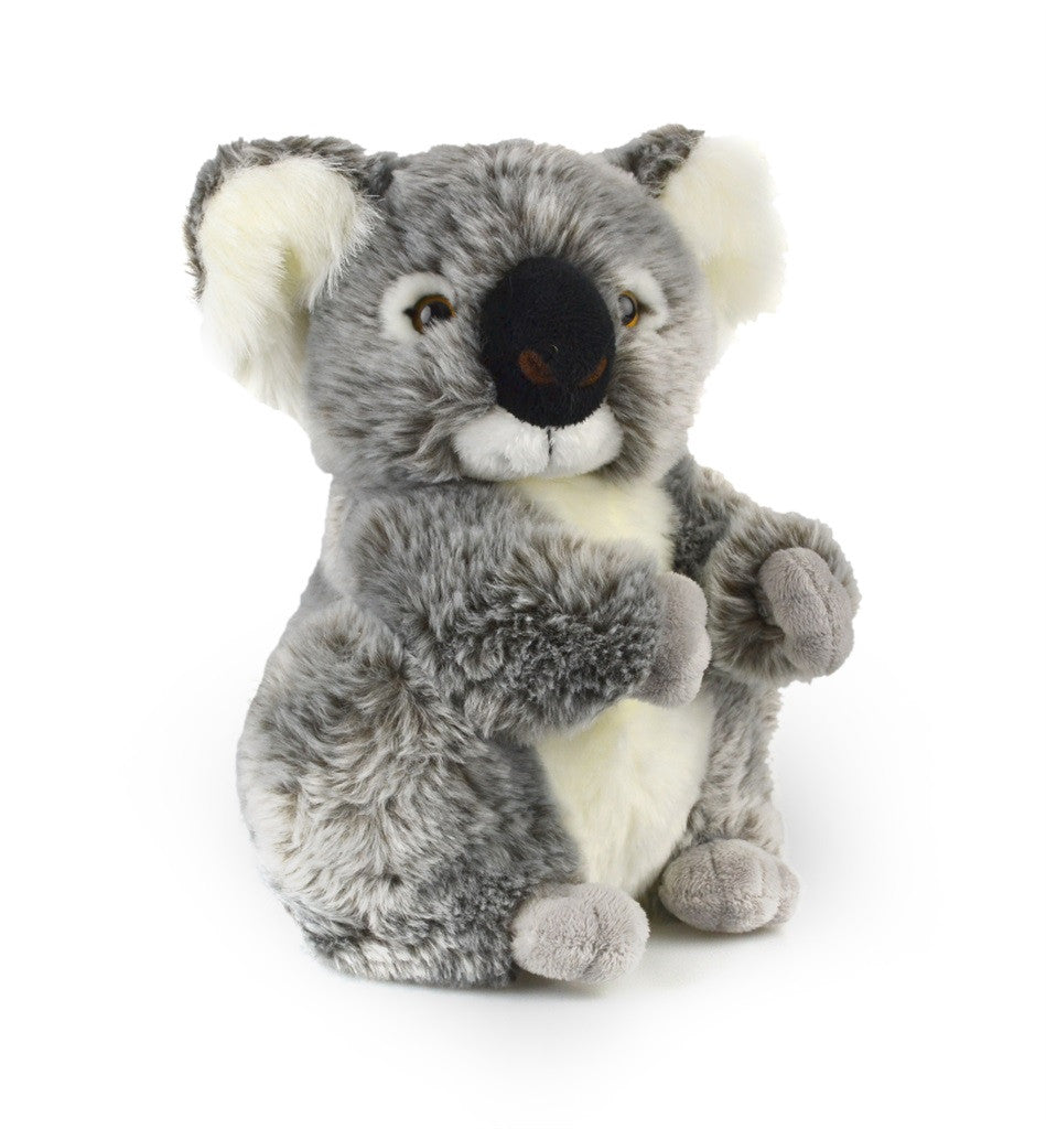 Korimco Koala Kalypso 21cm