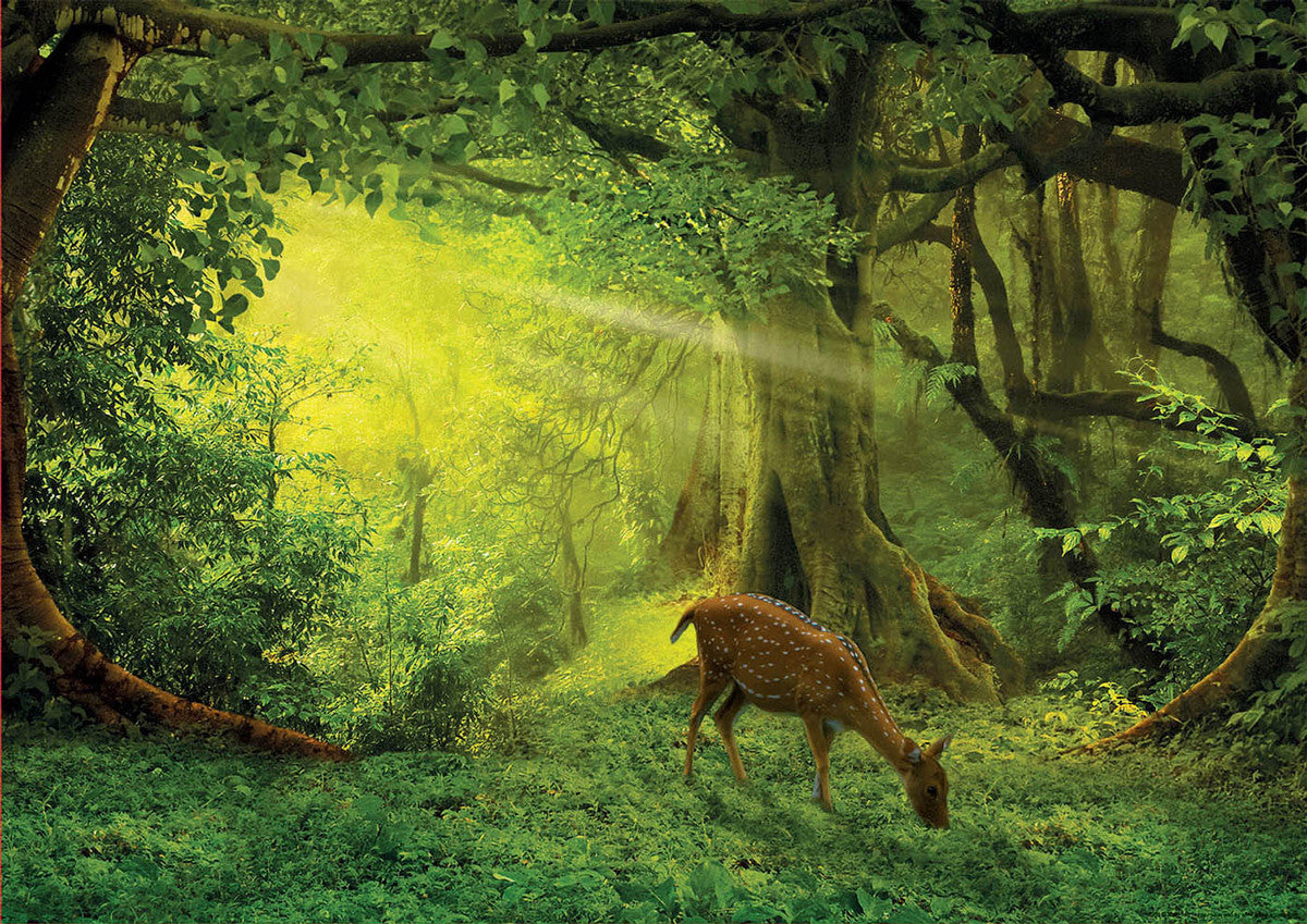 Educa 500pc - Little Deer Puzzle