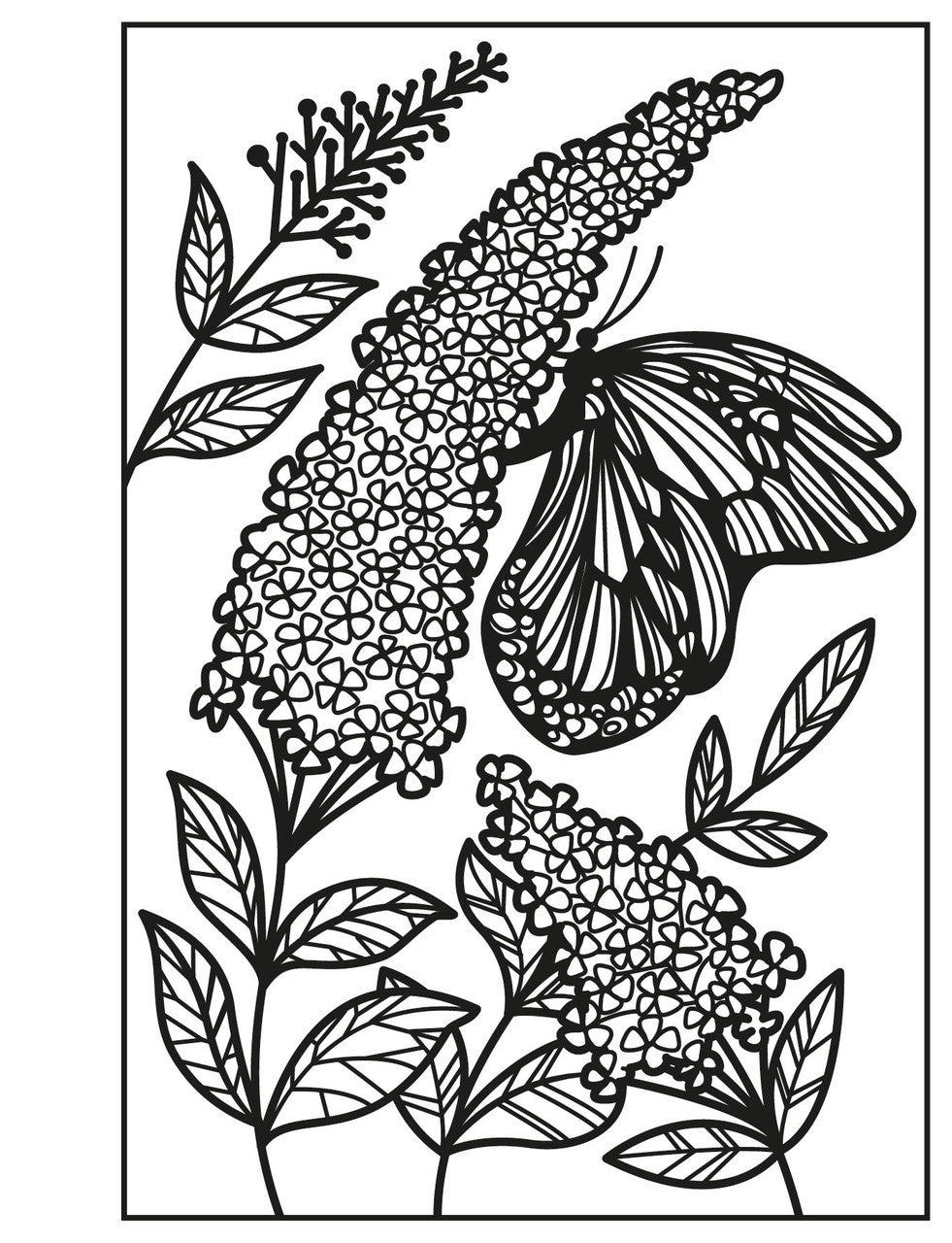 Usborne - Mini Books: Flowers Magic Painting Book