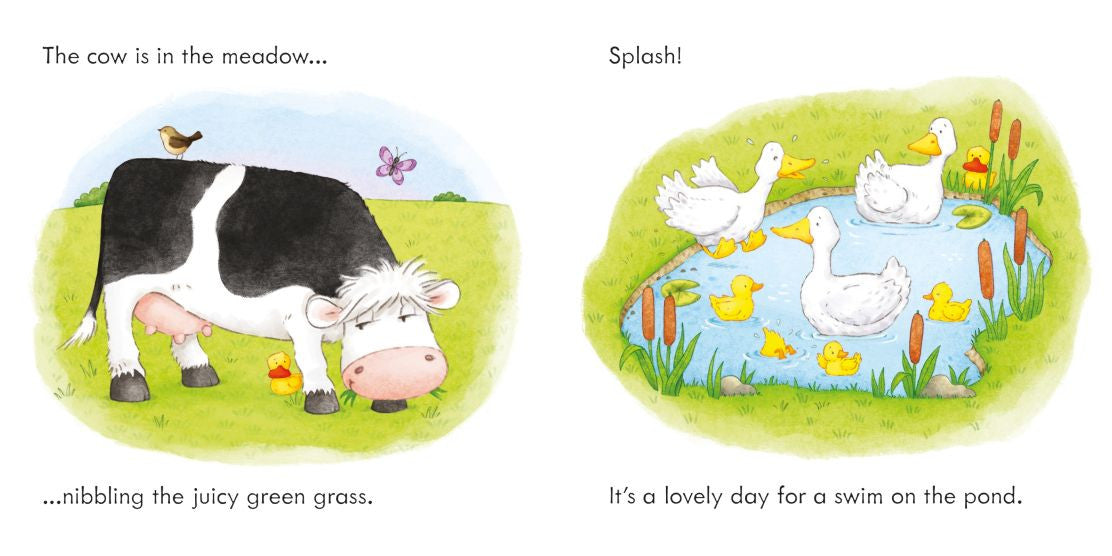 Usborne - Find the Duck on the Farm