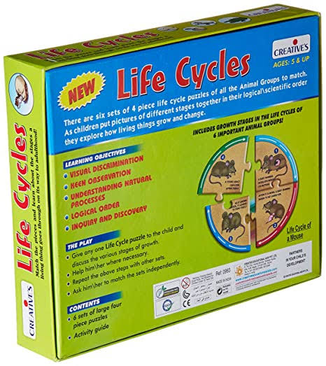 Creative's - Life Cycles