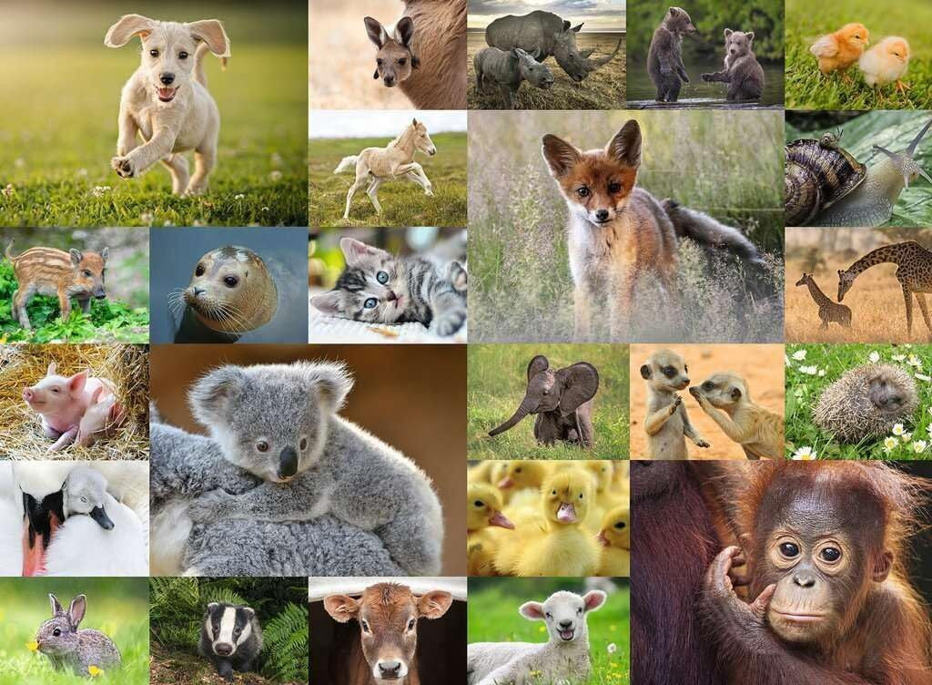 Ravensburger 200pc - Baby Animals Puzzle