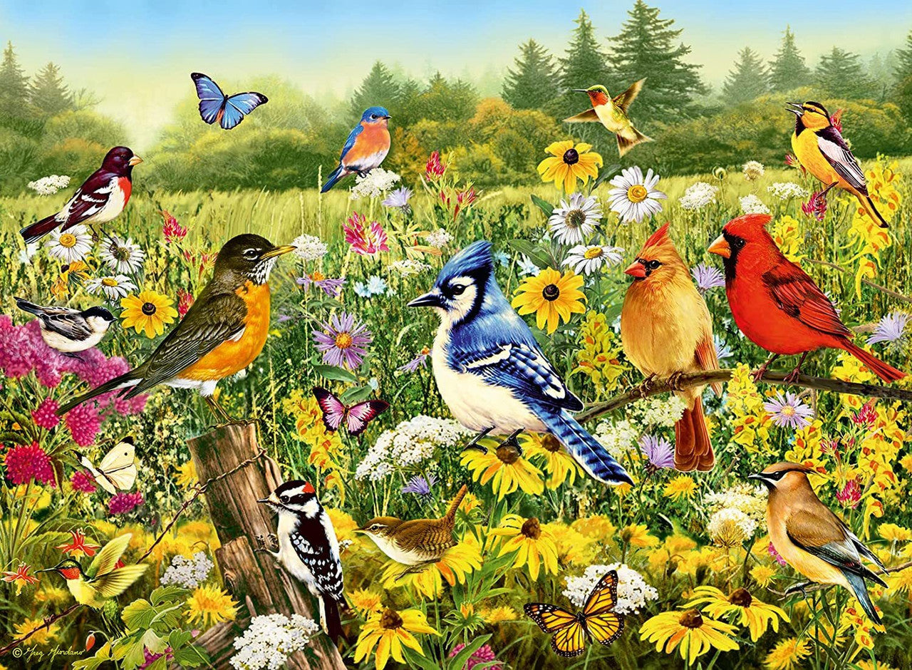 Ravensburger 500pc - Birds in the Meadow Puzzle