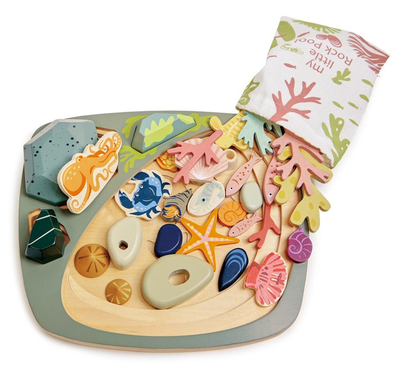 Tender Leaf Toys - My Little Rock Pool