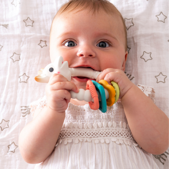 Sophie The Giraffe - The Colo'Ring Gift Set