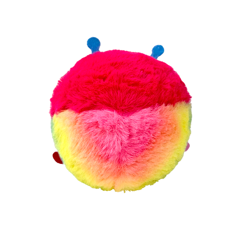 The Crystal the Caterpillar Ty Beanie Bouncer photographed with its red Ty Heart swing tag visible