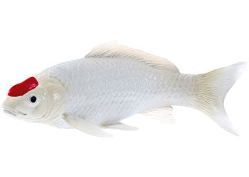 Mojo - Koi Carp - Tancho Koi Figurine