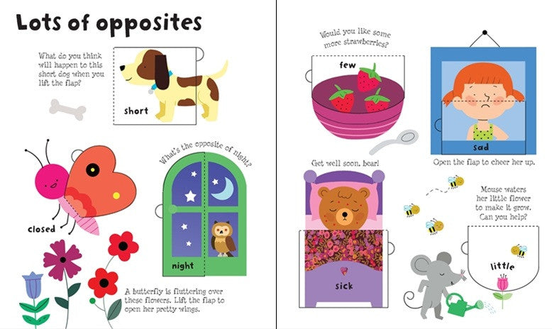 Usborne Lift-the-Flap Opposites