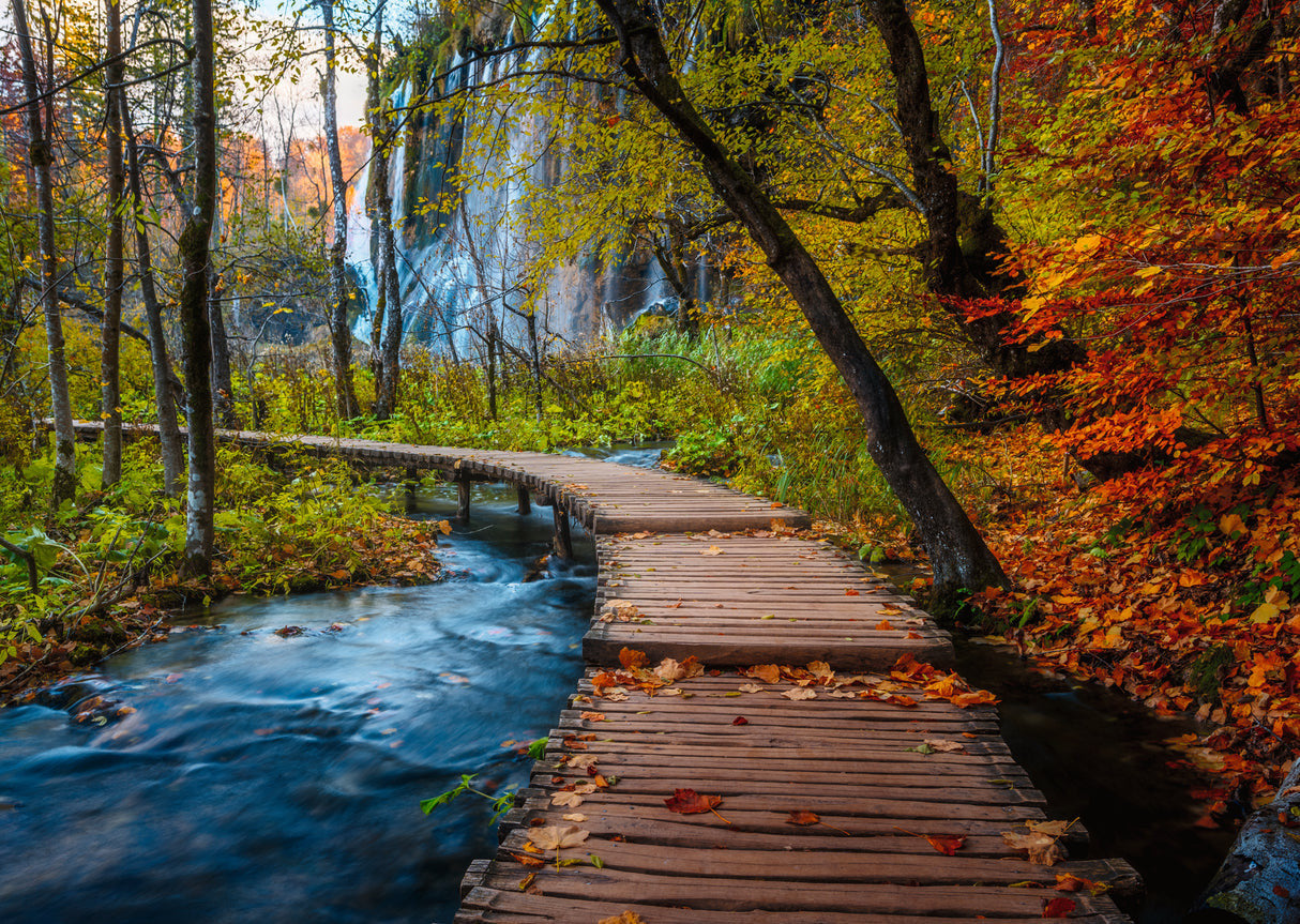 Ravensburger 1000pc - Autumnal Forest Path Puzzle