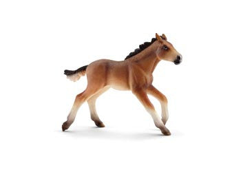 Schleich Horses- Mustang Foal