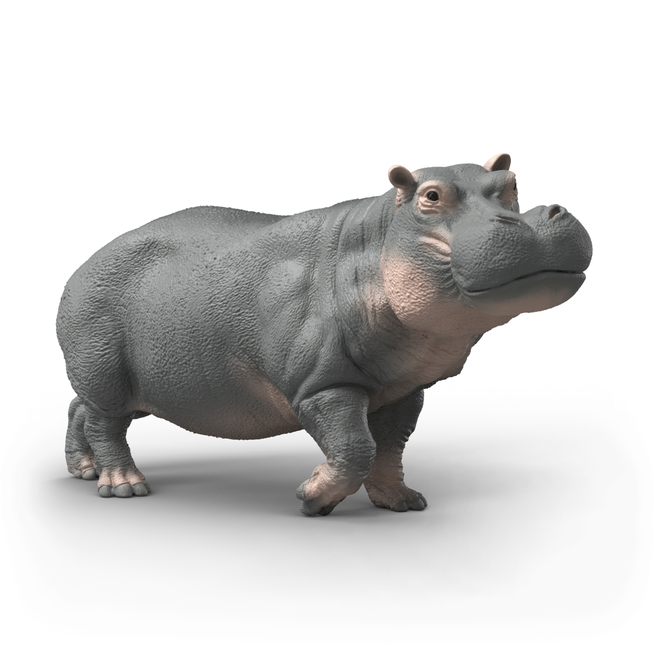 Schleich Hippopotamus 14938 realistic wild life animal figurine featuring detailed grey skin and lifelike sculpting