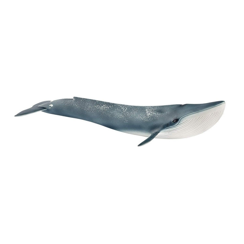 Schleich - Blue Whale 14806