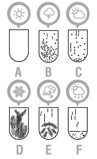 Heebie Jeebies - Fitzroy's Storm Glass | Cloud