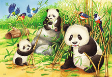 Ravensburger 2x24pc - Sweet Koalas And Pandas Puzzle