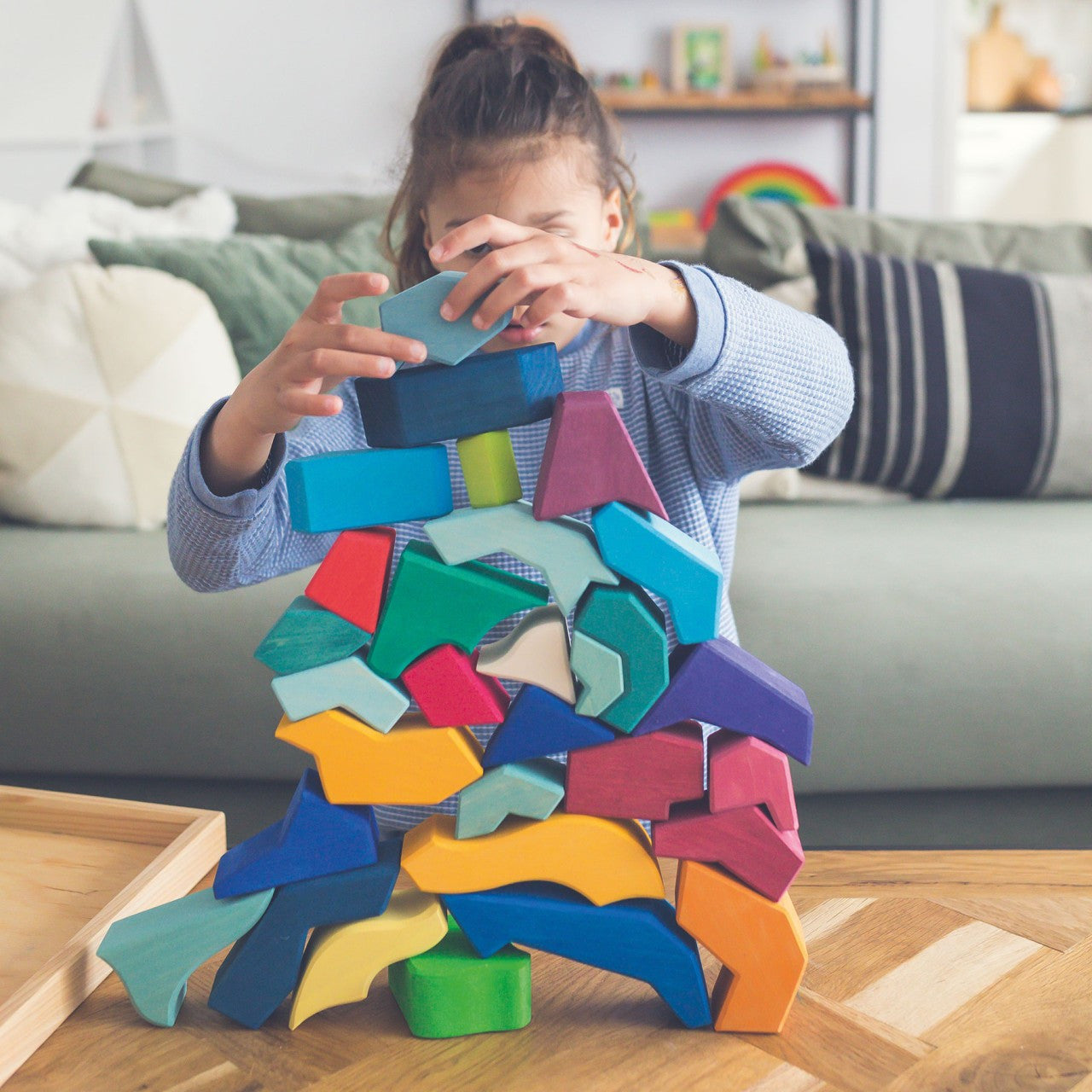 Grimm’s Building Set Four Temperaments
