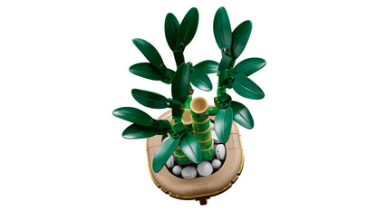 LEGO® Botanicals - Lucky Bamboo 10344