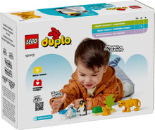 LEGO® DUPLO® - Wild Animal Families: Penguins & Lions 10442