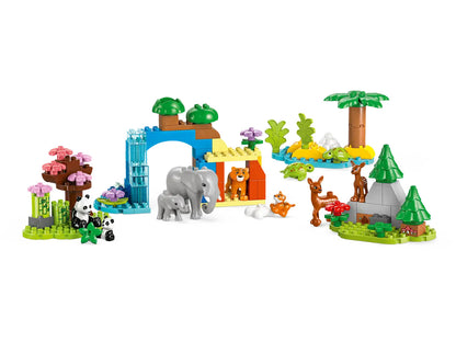 LEGO® DUPLO® - 3in1 Wild Animal Families  10446