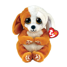Ty Beanie Bellies Regular - Ruggles the Brown & White Dog