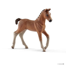 Schleich Horses- Hanoverian Foal 13818