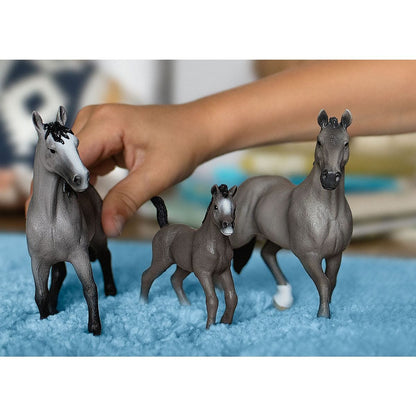 Schleich Horses - Selle Français Foal 13957