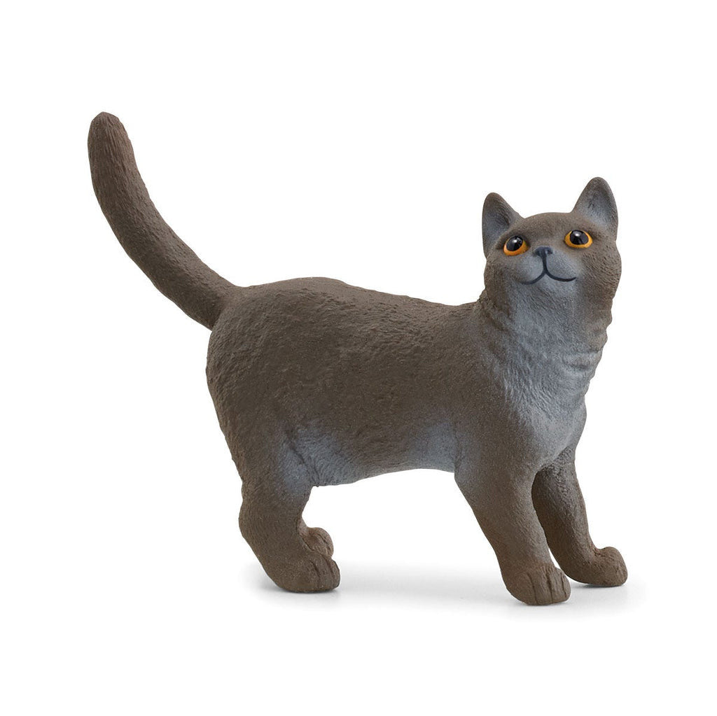 Schleich - British Shorthair Cat 13973