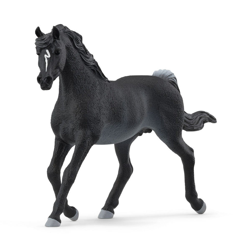 Schleich -  Arabian Stallion 13981