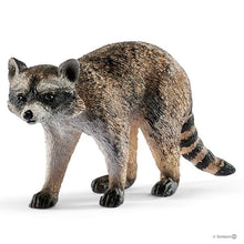 Schleich Wild Life - Raccoon 14828