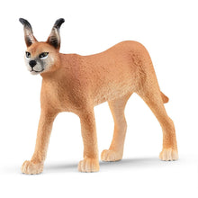 Schleich - Caracal Female 14867