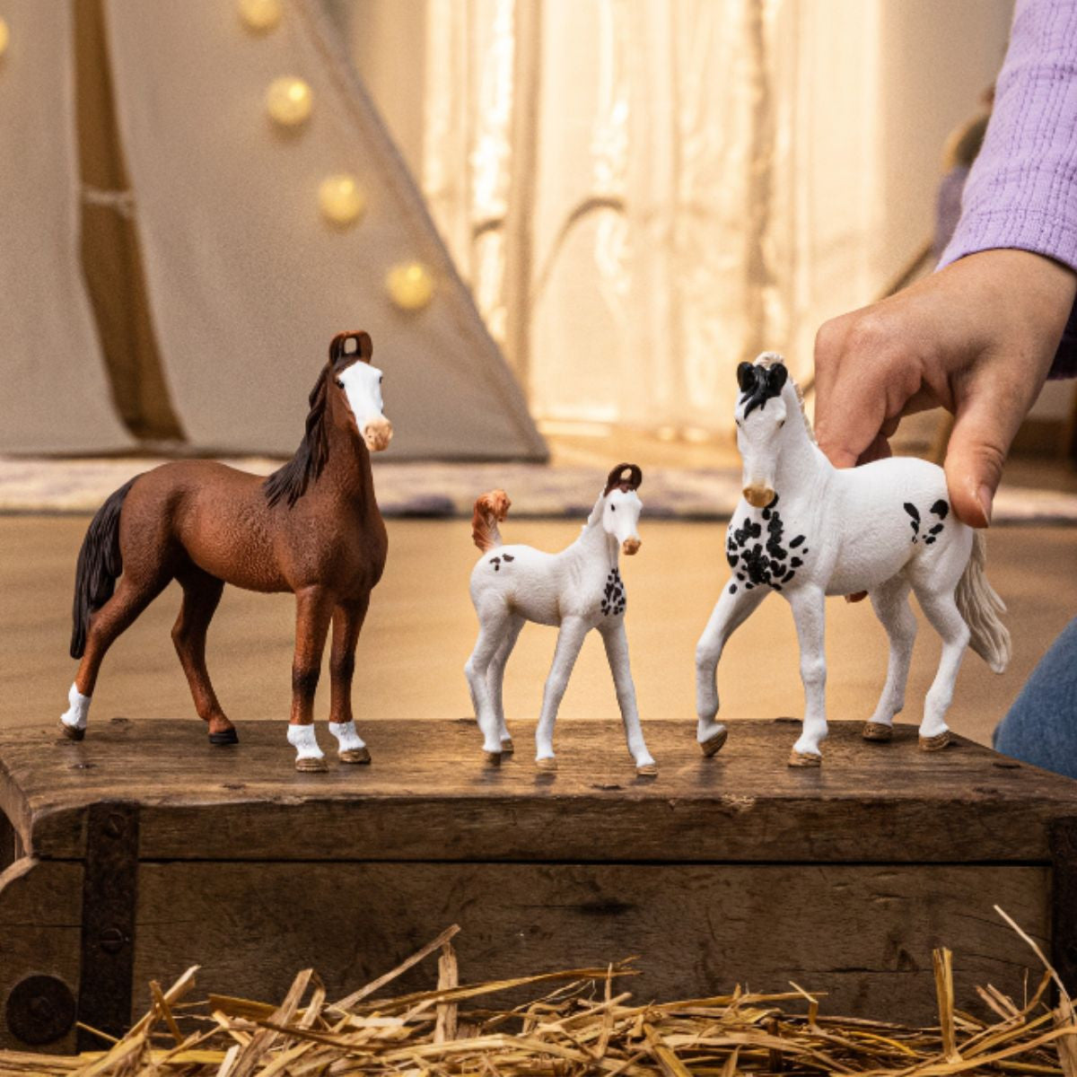 Schleich Horse Club - Marwari Foal 14896