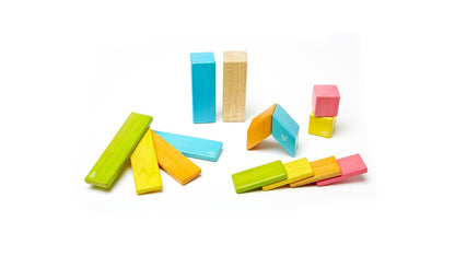 Tegu Magnetic Wooden Blocks Tints 14 Pieces