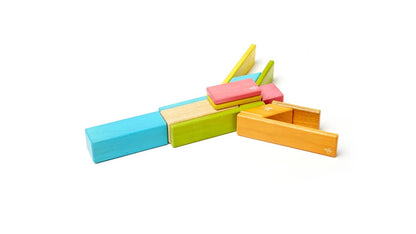 Tegu Magnetic Wooden Blocks Tints 14 Pieces