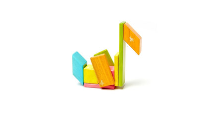 Tegu Magnetic Wooden Blocks Tints 14 Pieces