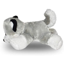 Wild Republic - Hug'Ems Mini Husky 18cm