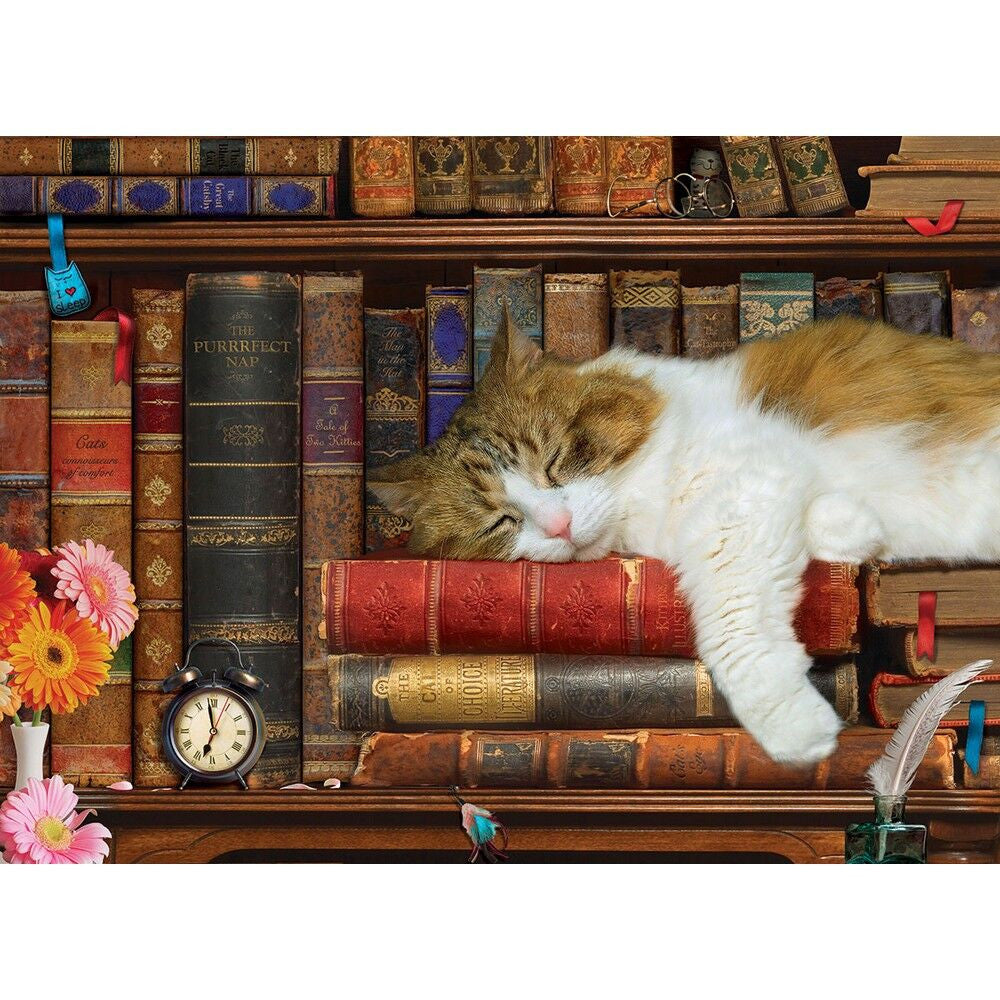 Eurographics 500XL pc - The Cat Nap Puzzle