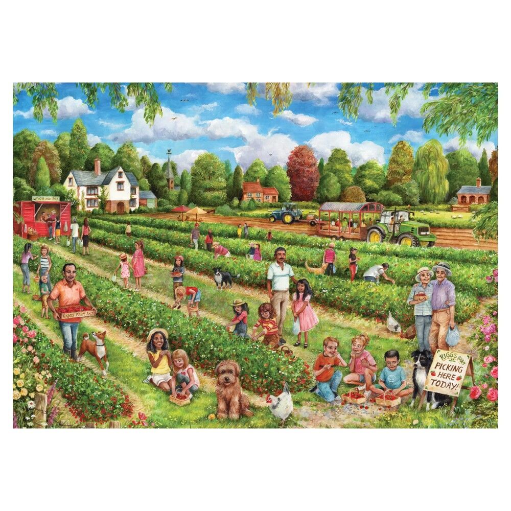 Falcon Deluxe 1000pc - Strawberry Picking Puzzle