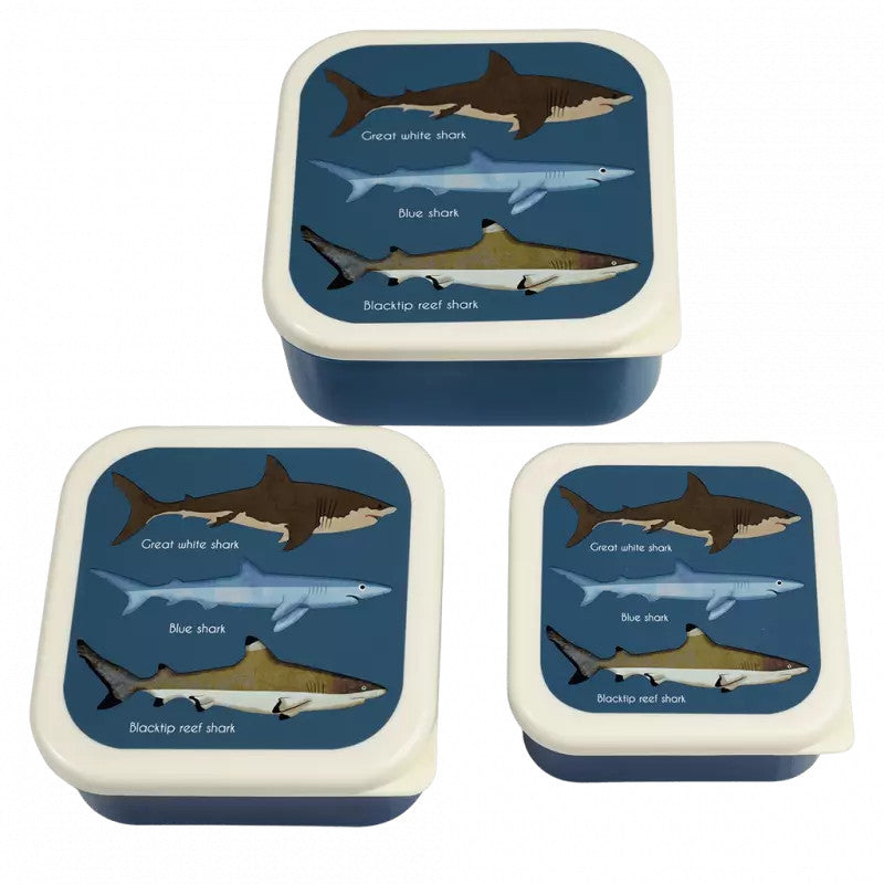 Rex London - Snack Boxes - Sharks (Set of 3)