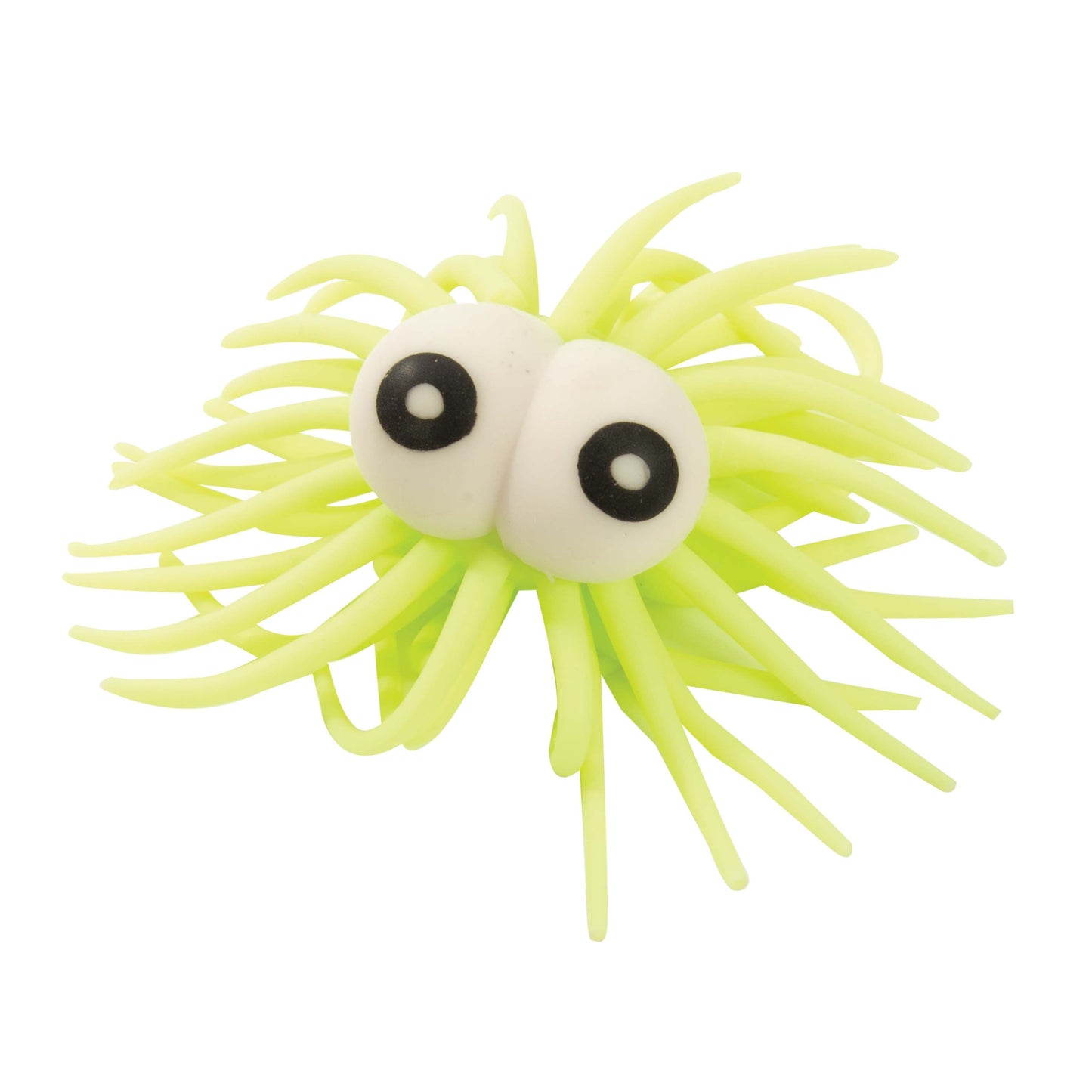 IS Gift - Squiddly Doo
