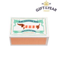 Rex London - Mini Sausage Dog in a Little Box