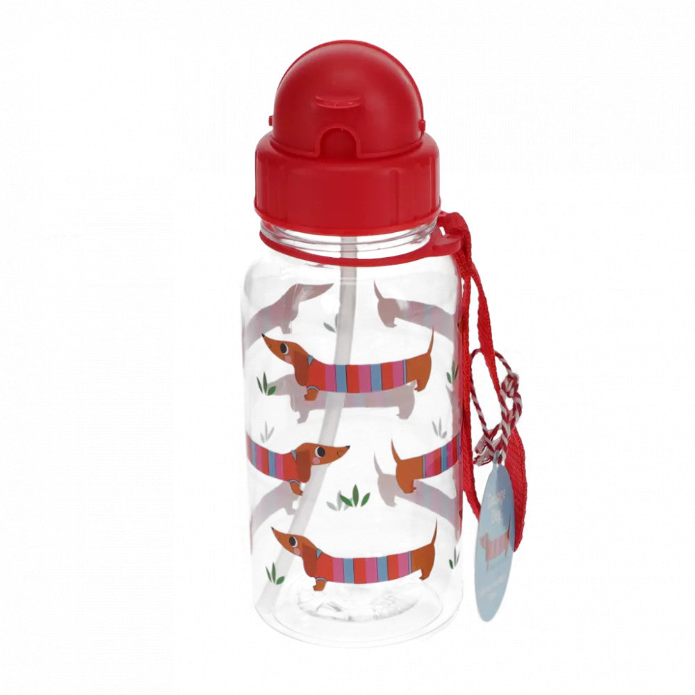 Rex London - Child Water Bottle - Sausage Dog