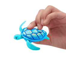 Zuru - Robo Turtle - Blue