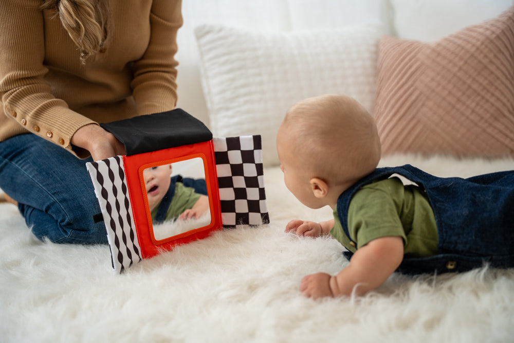 Manhattan Toy - Wimmer Peek & Go Mirror Baby Activity Toy