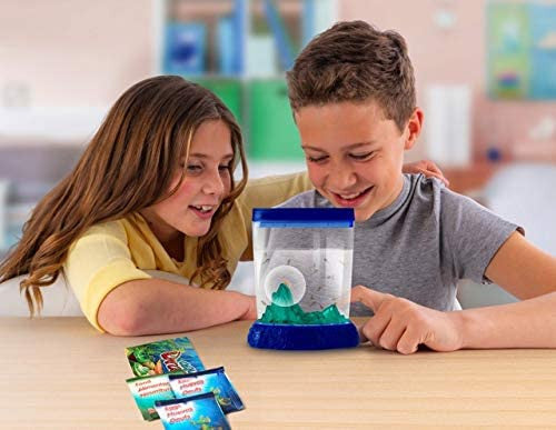 Aqua Dragons - Colour Changing Box Kit