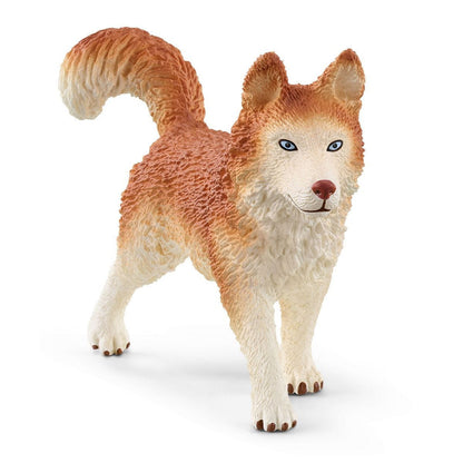 Schleich Wild Life - Antarctic Expedition | 42624