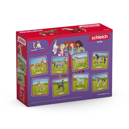 Schleich Horse Club - Paso Peruano Starter Set 42738
